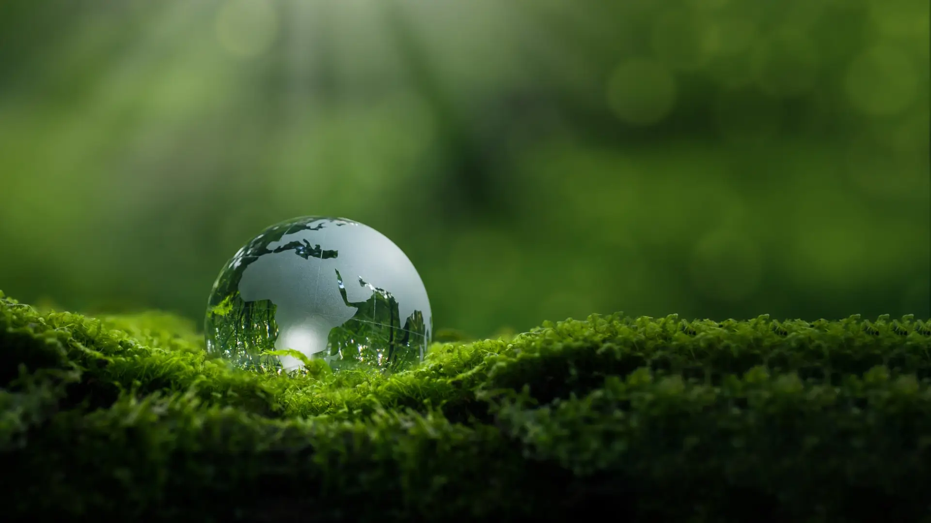 Glas Globus im Moos
